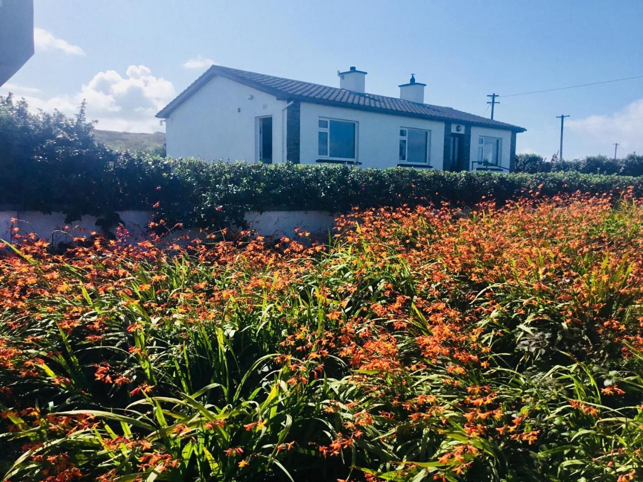Doolin View Apartment 外观 照片
